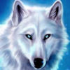 maximus_mendez